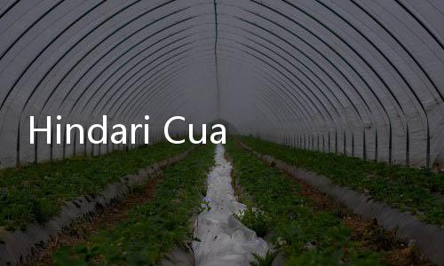Hindari Cuaca Panas, PPIH Sarankan Jemaah Haji Indonesia Lakukan Lempar Jumrah Pada Sore dan Malam