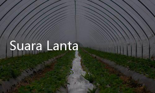 Suara Lantang Pihak Munarman di Lanjutan Sidang Dugaan Terorisme Akibat Ulah Jaksa: Kami...