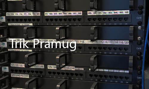 Trik Pramugari Pakai Ponsel Cek Kamera Tersembunyi di Kamar Hotel